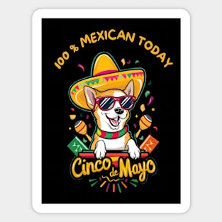 Chihuahua Dog Cinco de Mayo Magnet